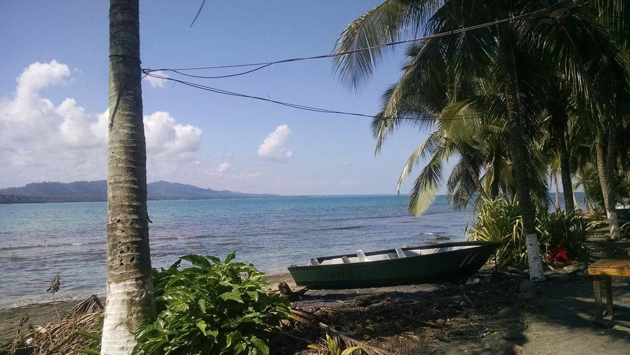 Hotel Puerto Viejo Puerto Viejo de Talamanca Ngoại thất bức ảnh