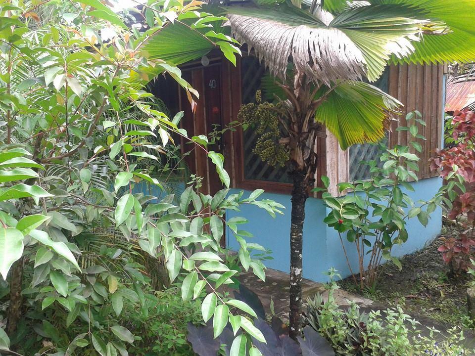 Hotel Puerto Viejo Puerto Viejo de Talamanca Ngoại thất bức ảnh