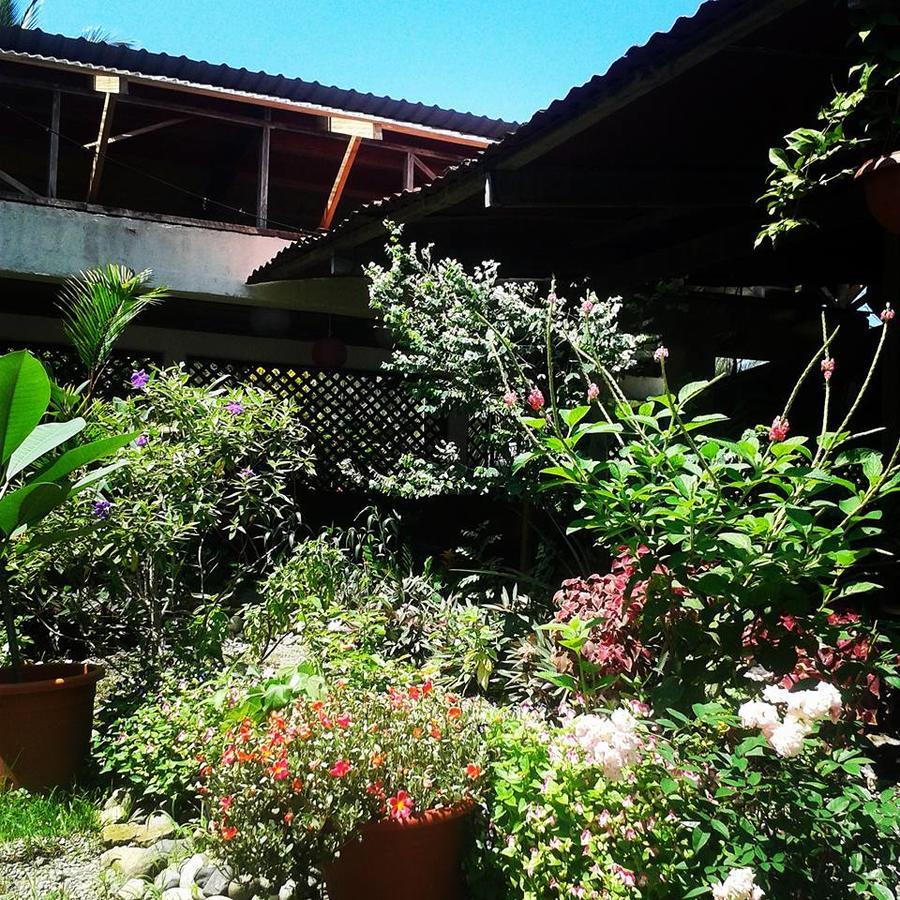 Hotel Puerto Viejo Puerto Viejo de Talamanca Ngoại thất bức ảnh